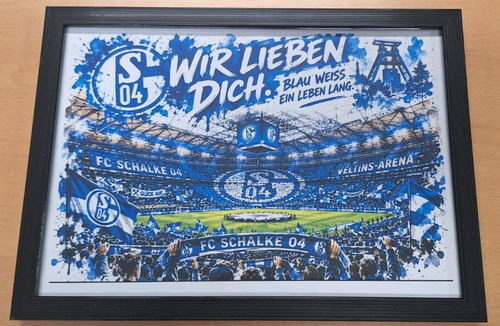 Bild schalke 04 - *, *