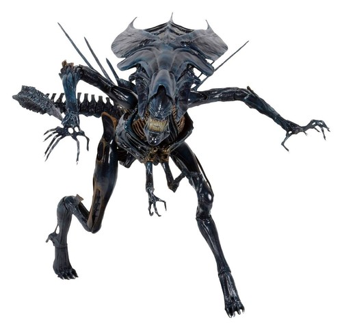 Aliens alien queen - -,