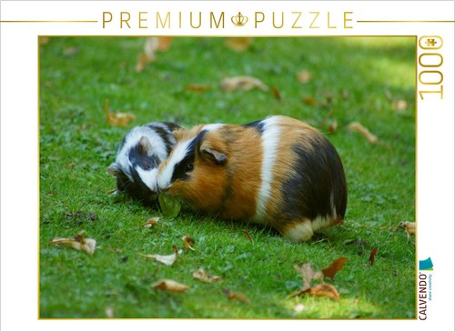 Calvendo puzzle - calvendo,