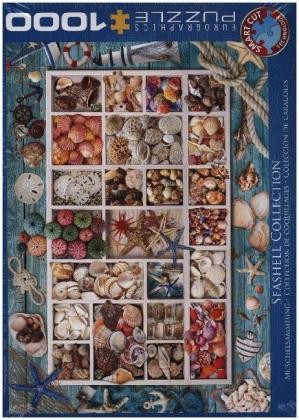 Muschelsammlung - (puzzle), |