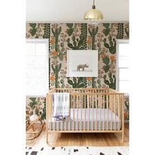 Orangenkakteen Pflanzen Vlies Fototapete Kakteen Tapete aus Haus