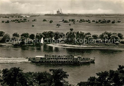 Weisse flotte dampfer - weisse,