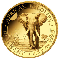 Goldmünze Elefant African