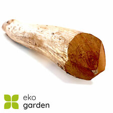 Zaunpfahl Staketenzaun