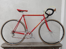 PALETTI Modena Gruppe