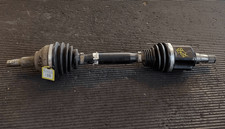 51876370 Halbalbero-Ant