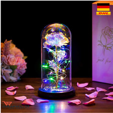 Glaskuppel Rose LED Regenbogen
