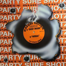 DJ First Class - Raggae Nation