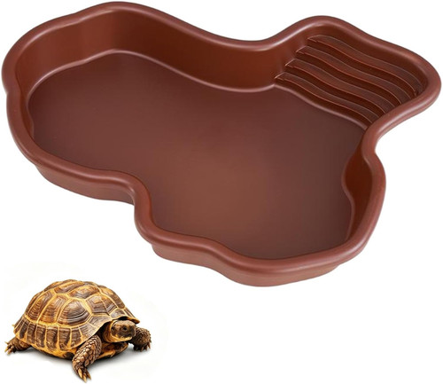 Reptilien wasserschale mit - reptilien,