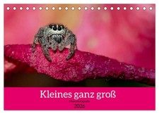 Kleines ganz groß -