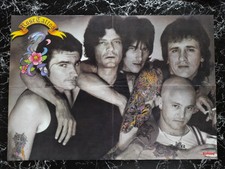 ROSE TATTOO * Poster * 59 x 41