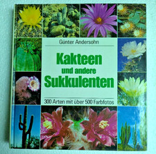Kakteen und andere - , sukkulenten