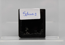 Pokémon: Schwarze Edition