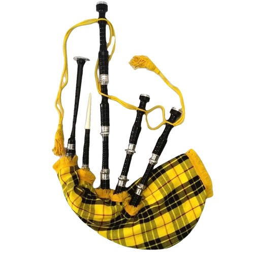 Schottischer großer highland - schottischer,