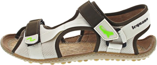 Leguano attrekktive damen - leguano,