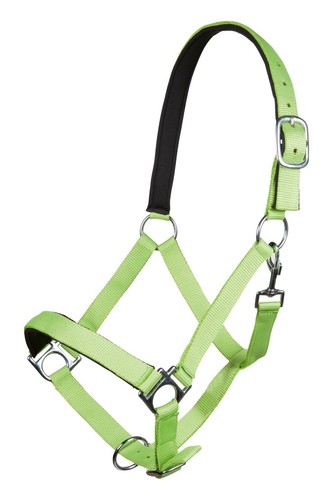 Halfter stars softice weich - softice-,