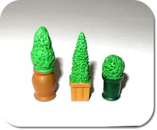 Miniatur buchsbaum topf - buchsbaum, im