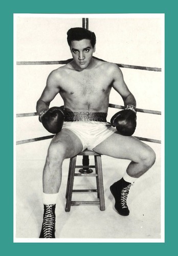 Elvis presley sänger - presley, |