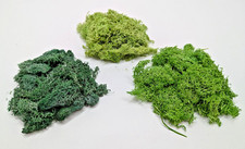 Islandmoos zum Basteln 20g