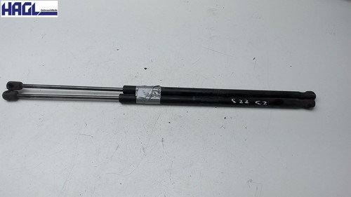 Gasdruckdämpfer heckklappe - gasdruckdämpfer,