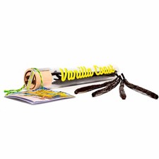 Vanilleschoten Vanilla Coast - Gourmet Bourbon Vanille Madagaskar Gr. L 15-18cm