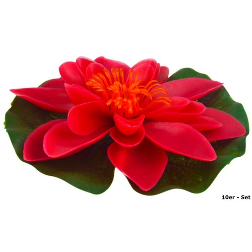 12x gardena seerosen - 12x,