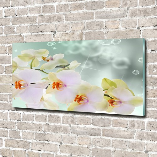 Glas bild wandbilder - glas-bild,