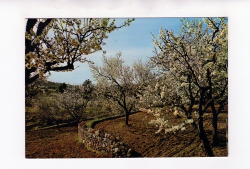Ansichtskarte mallorca - ansichtskarte,