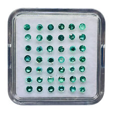 16 Stück Natürlich