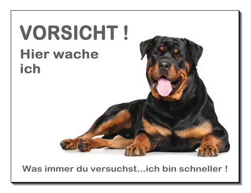 Rottweiler-Hund-Aluminium-Schi