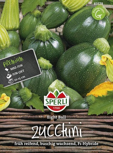 Zucchini eight ball - zucchini, f1