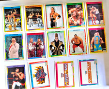 1995 Merlin WWF Karten Mix, 14
