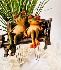 Lustiges Froschpärchen als