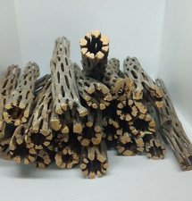 3 x Cholla Kakteenholz