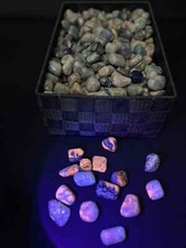 Fluoreszierende Trommelsteine aus Afghanistan – Das leuchtende Trio: Sodalith