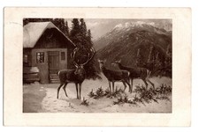 AK Künstlerkarte Winter Jagdhütte mit Hirschen Gebirge 1910 Marke Egemes