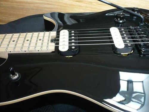 Wolfgang special - (evh),