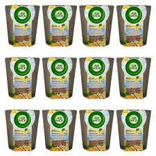 Air Wick Blütenzauber