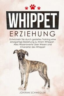 Whippet erziehung entwickeln - whippet, erziehung: