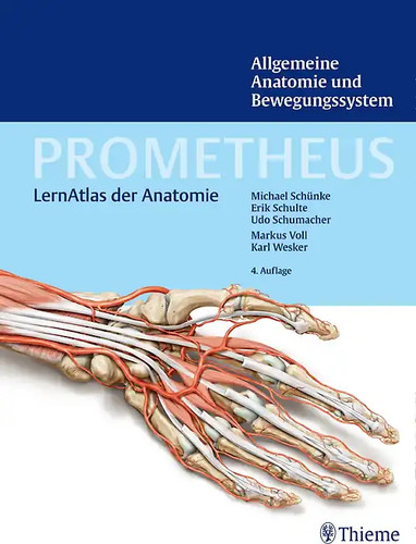 Prometheus allgemeine anatomie - prometheus,