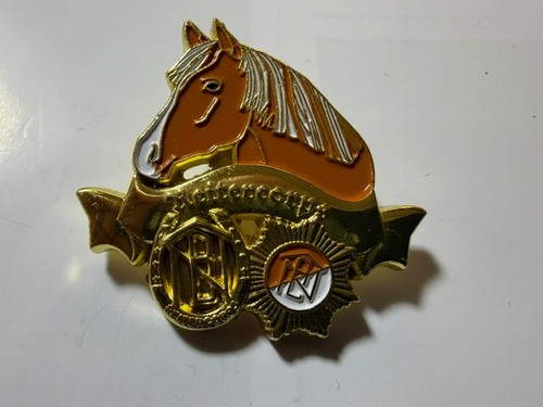 Köln karnevalsorden pin - köln,