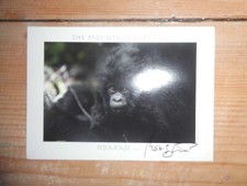 original Norbert Guthier--