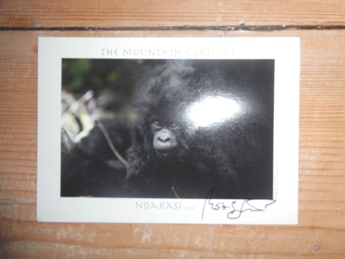 Original norbert guthier - original,