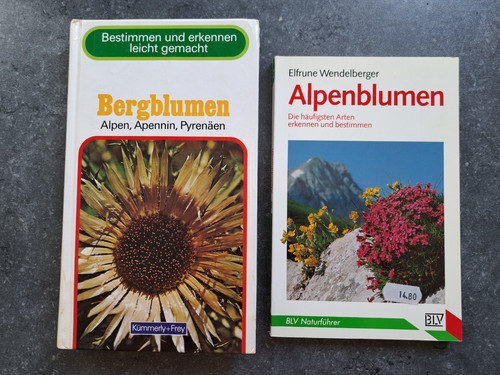 Bergblumen alpenblumen - 2x,
