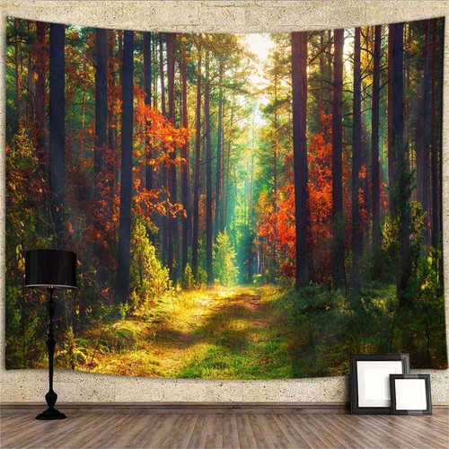 Wald baum natur poster xxl - wald,