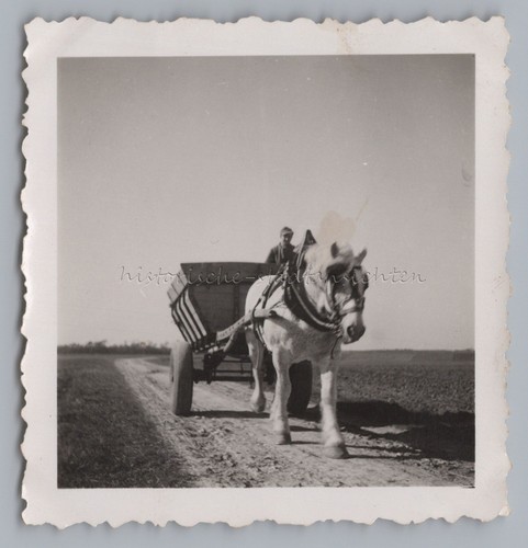 Landwirt bauer pferd fuhrwerk - bauer,