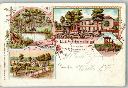 16547 o1403 birkenwerder 1899 - o1403,