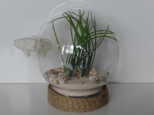 Deko Aquarium Glas Kugel mit Sand Muscheln Planze Fisch Maritim Strand Geschenk