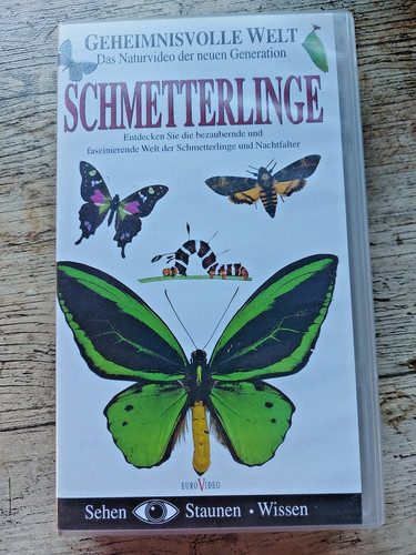 Geheimnisvolle welt das - welt,