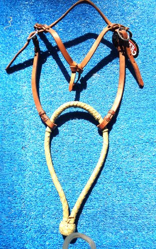 Horse hackamore bosal - horse,
